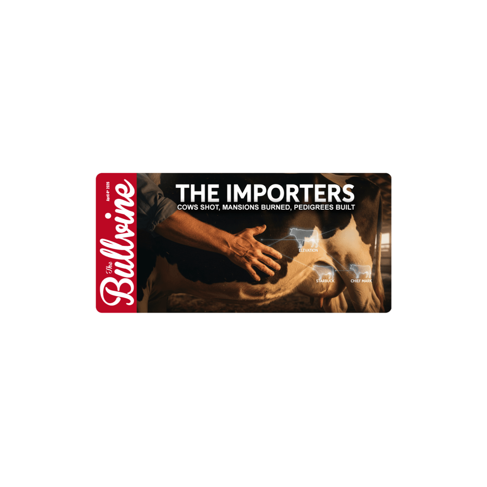 E529 The Importers: Cows Shot, Mansions Burned, Pedigrees Built - The Bullvine cover