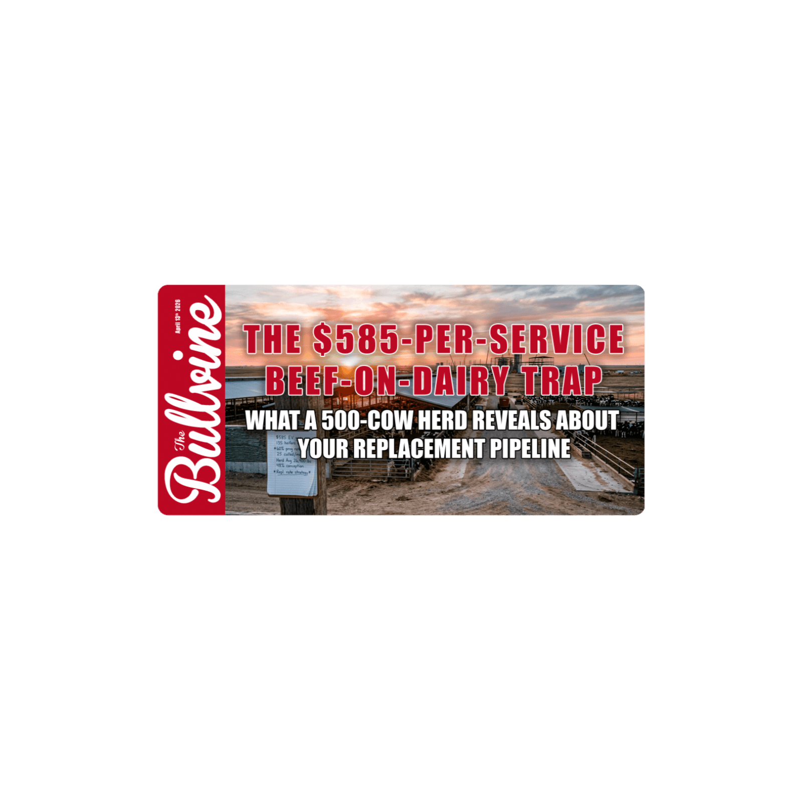 E535 The $585‑Per‑Service Beef‑on‑Dairy Trap: What a 500‑Cow Herd Reveals About Your Replacement Pipeline - The Bullvine cover