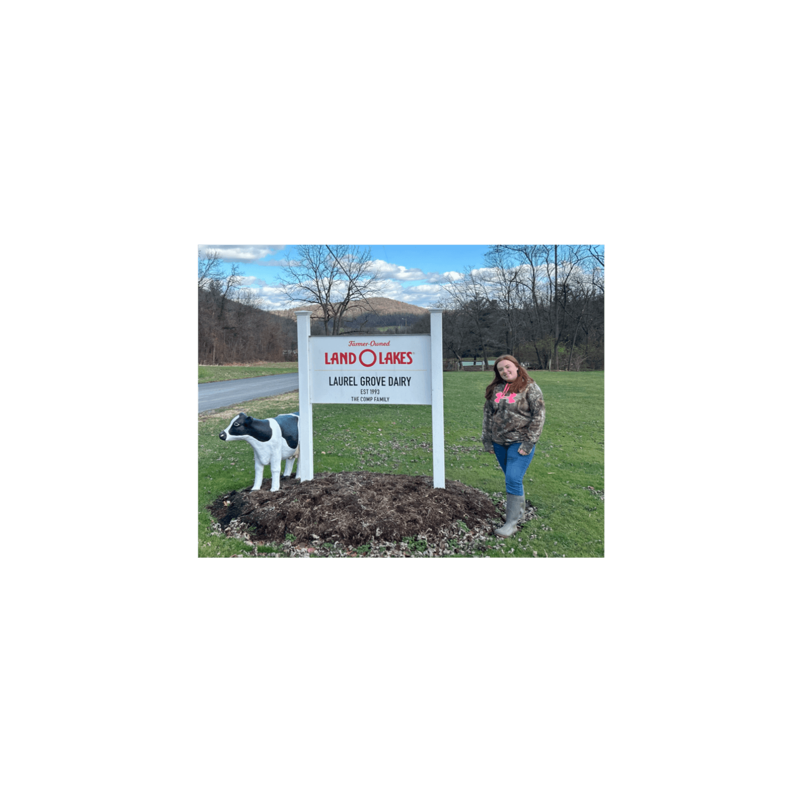 E544 490 PA Dairies Gone in 2025. Two Spent $40,500 to Not Be Next. — The Bullvine cover
