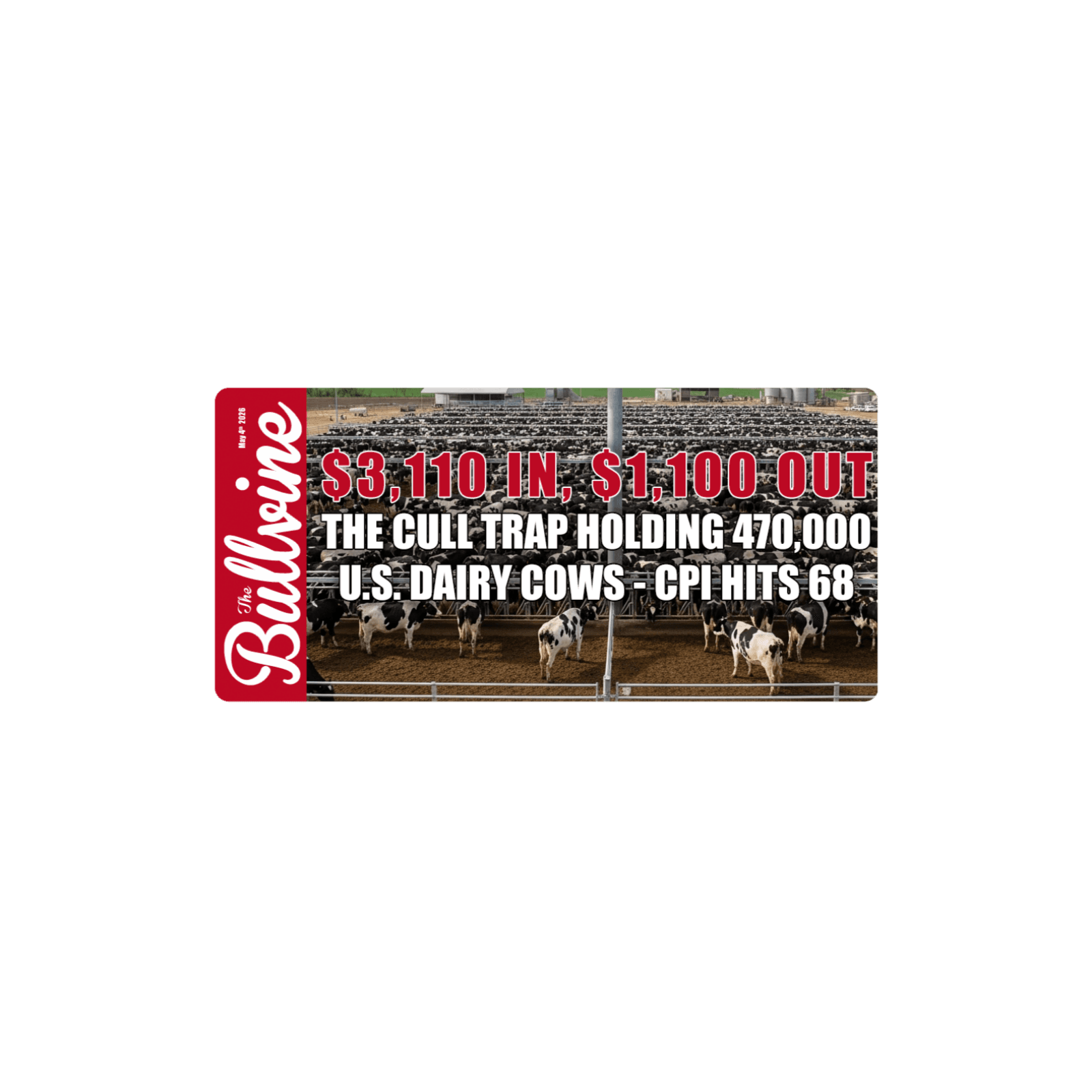 E549 $3,110 In, $1,100 Out: The Cull Trap Holding 470,000 U.S. Dairy Cows – CPI Hits 68 — The Bullvine cover