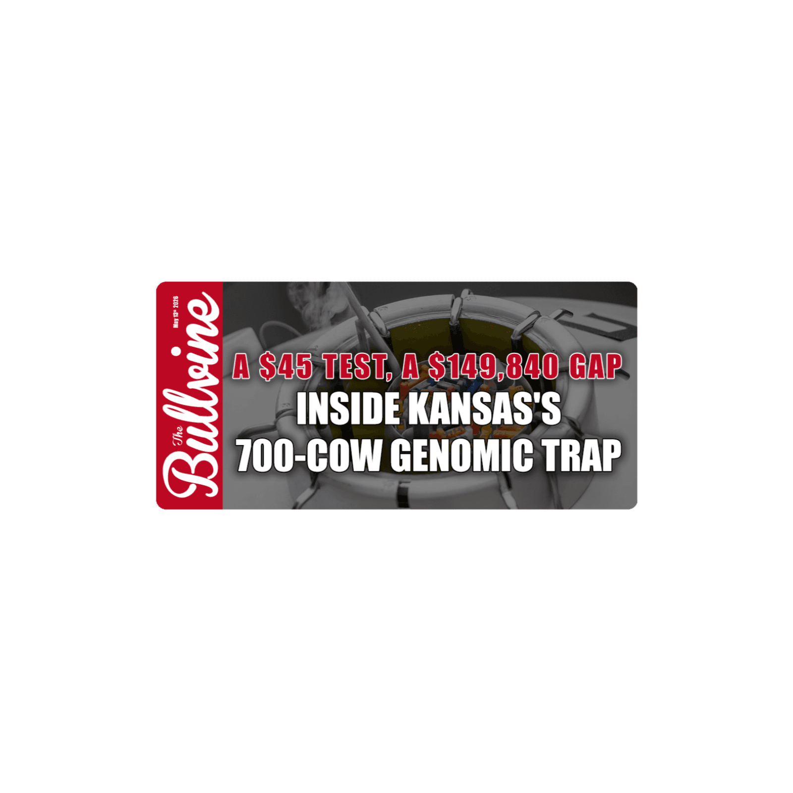 E557 A $45 Test, A $149,840 Gap: Inside Kansas’s 700-Cow Genomic Trap — The Bullvine cover
