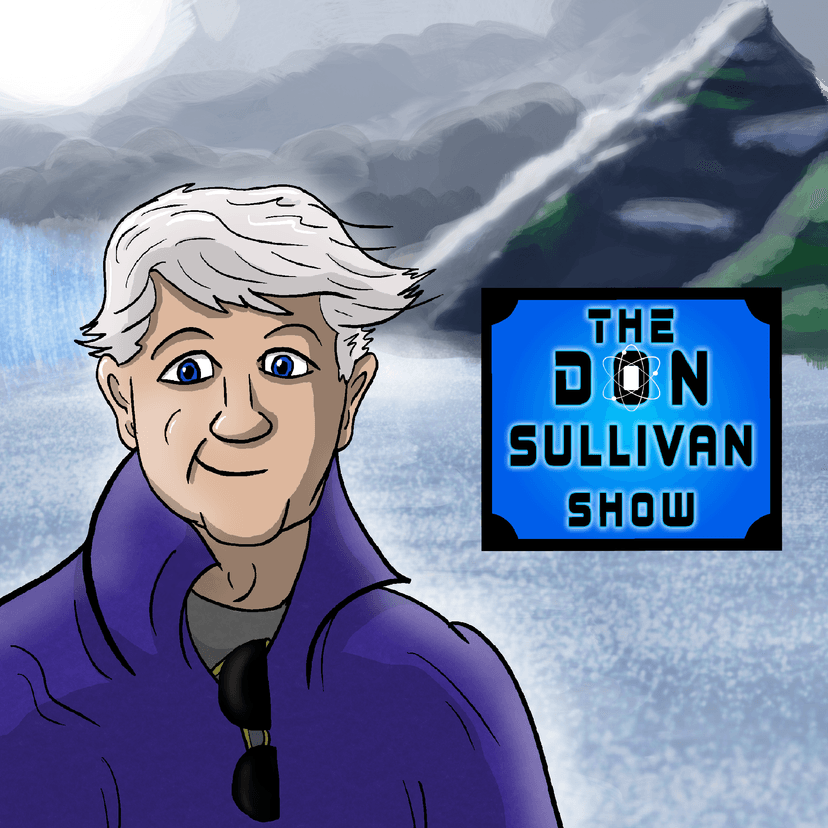 The Don Sullivan Show cover