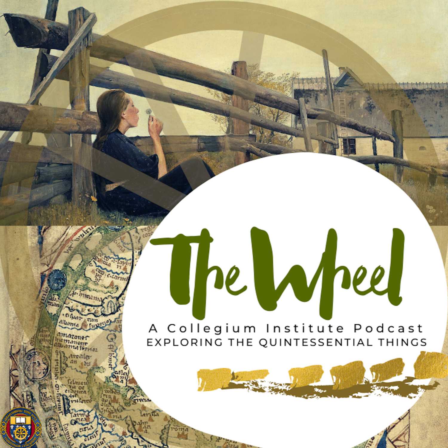 The Wheel cover