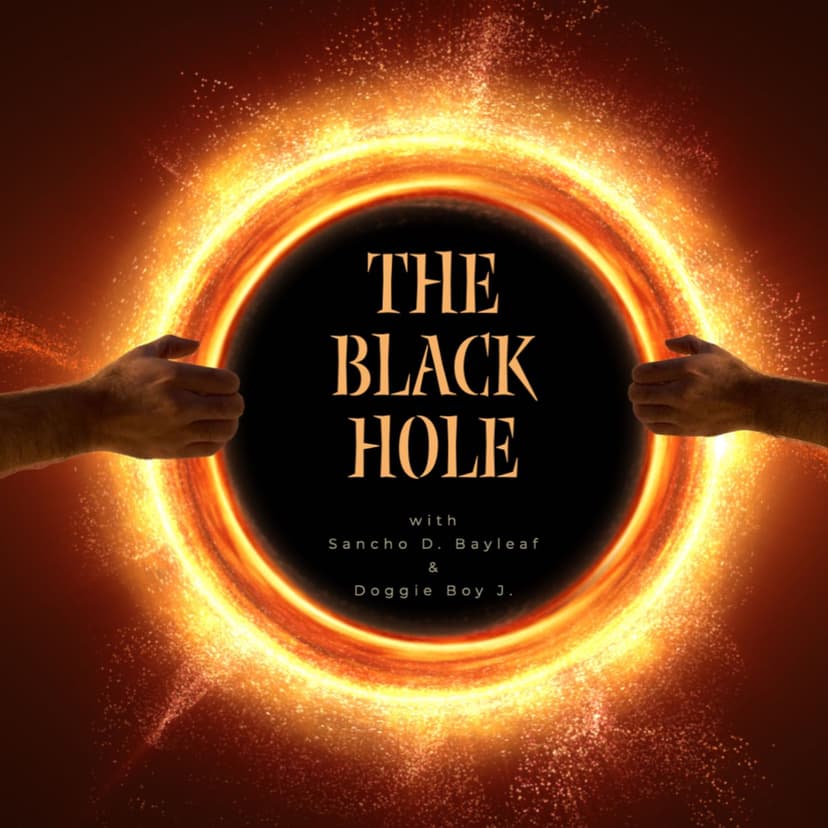 The Black Hole cover