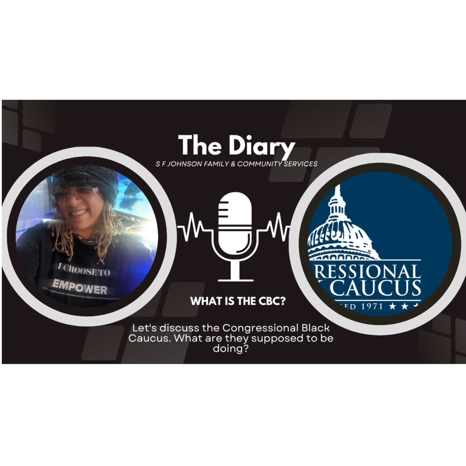 The Diary Presented  by S F Johnson Family & Community Services cover