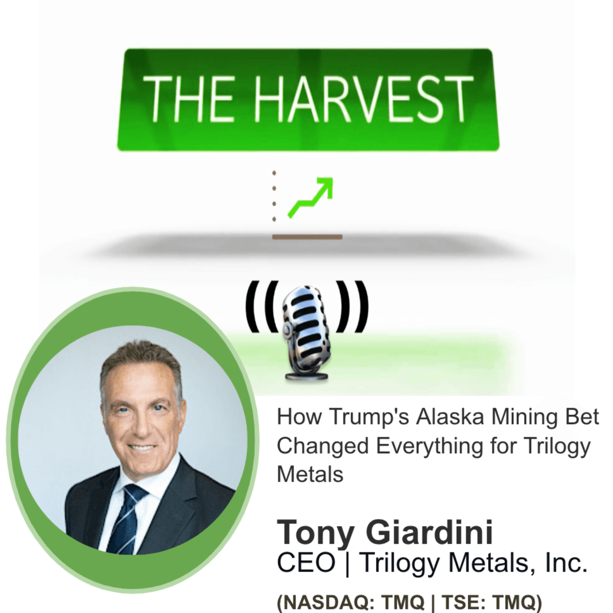CEO INTERVIEW: How Trump's Alaska Mining Bet Changed Everything for Trilogy Metals, Inc. - The Harvest Podcast cover