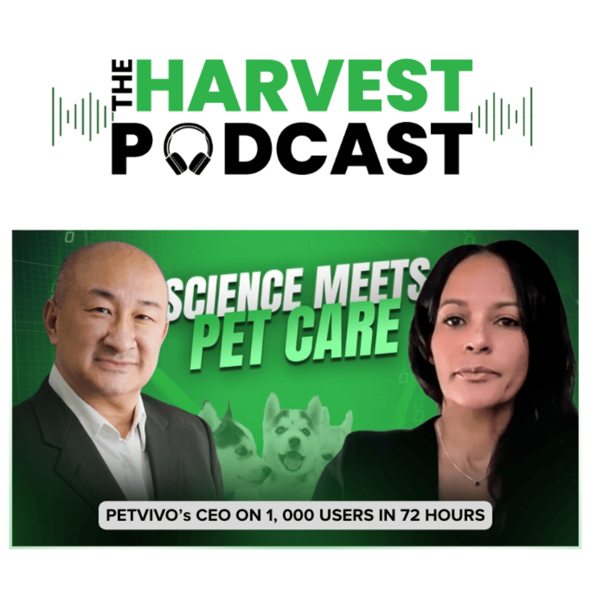 CEO INTERVIEW: 1,000 Users in 72 Hours: How PetVivo's CEO Plans to Ride the AI Pet Care Wave to 8,500 Veterinary Clinics - The Harvest Podcast cover