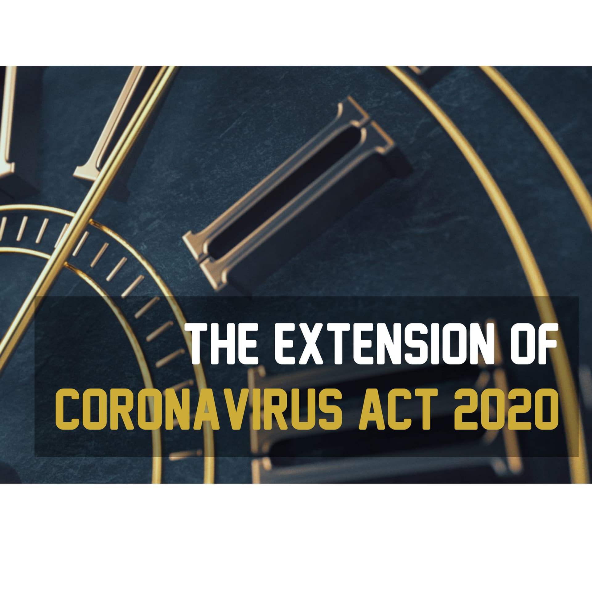 The Extension of Coronavirus Act 2020 - The Mirror Project cover