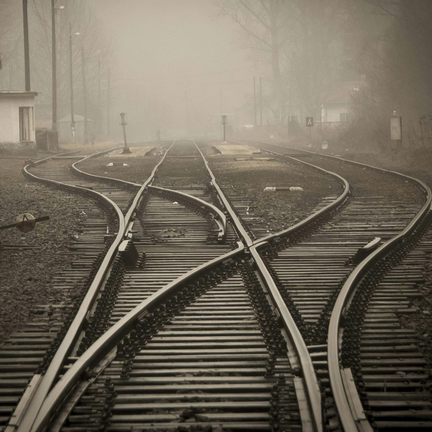 The Joy of Constraints - Thursday Lunch cover