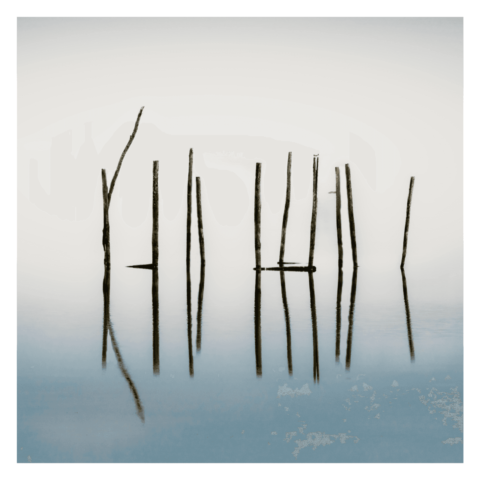 Trends, The Echoes of Changing Constraints  - Thursday Lunch cover