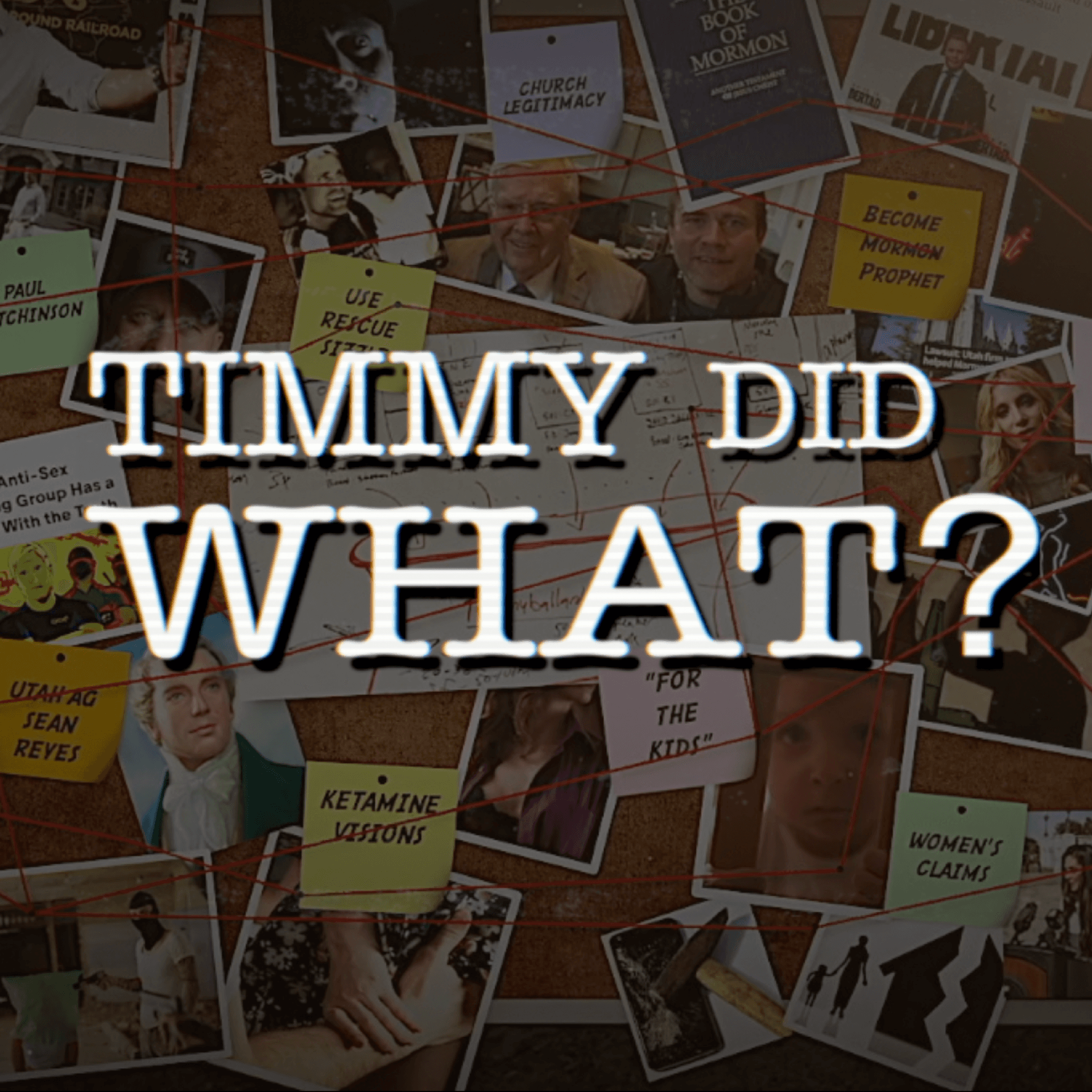 Timmy Did What?  cover