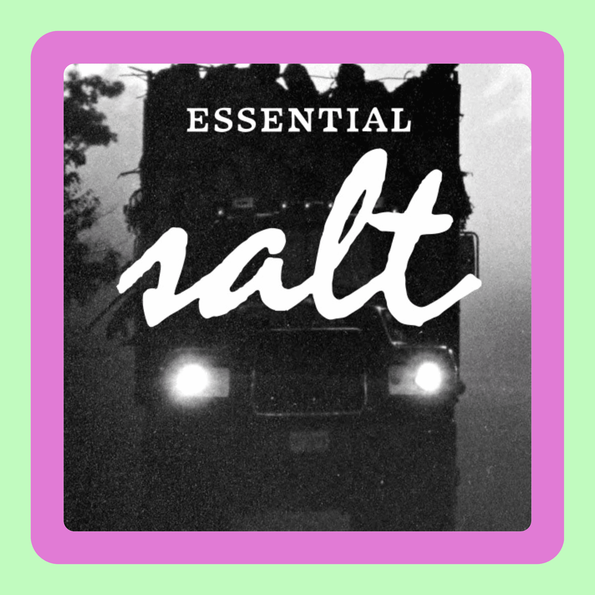 "Essential Salt" from the Salt Institute for Documentary Studies: Podcast Trailer Analysis  - Trailer Park: The Art & Science of Podcast Trailers cover