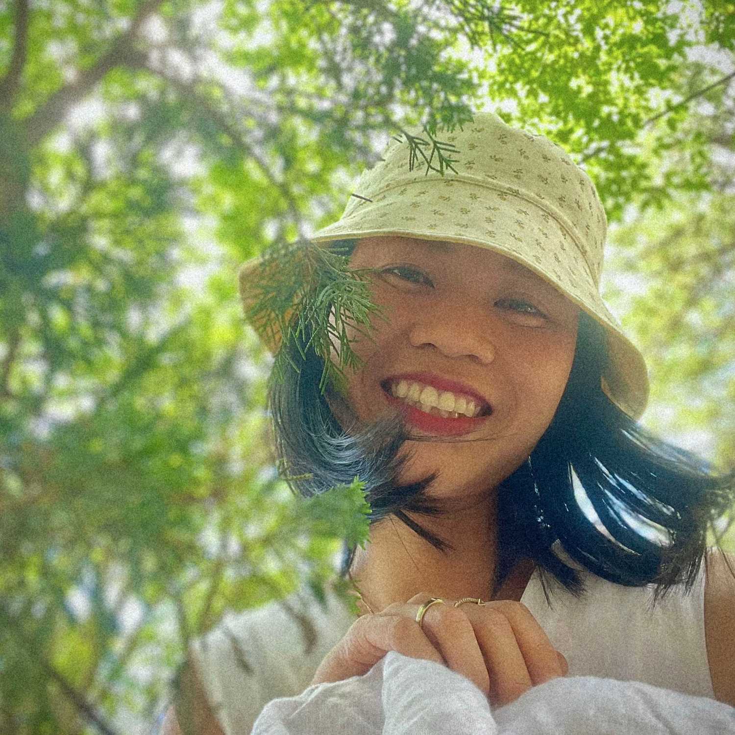 Trang Xanh Lá cover
