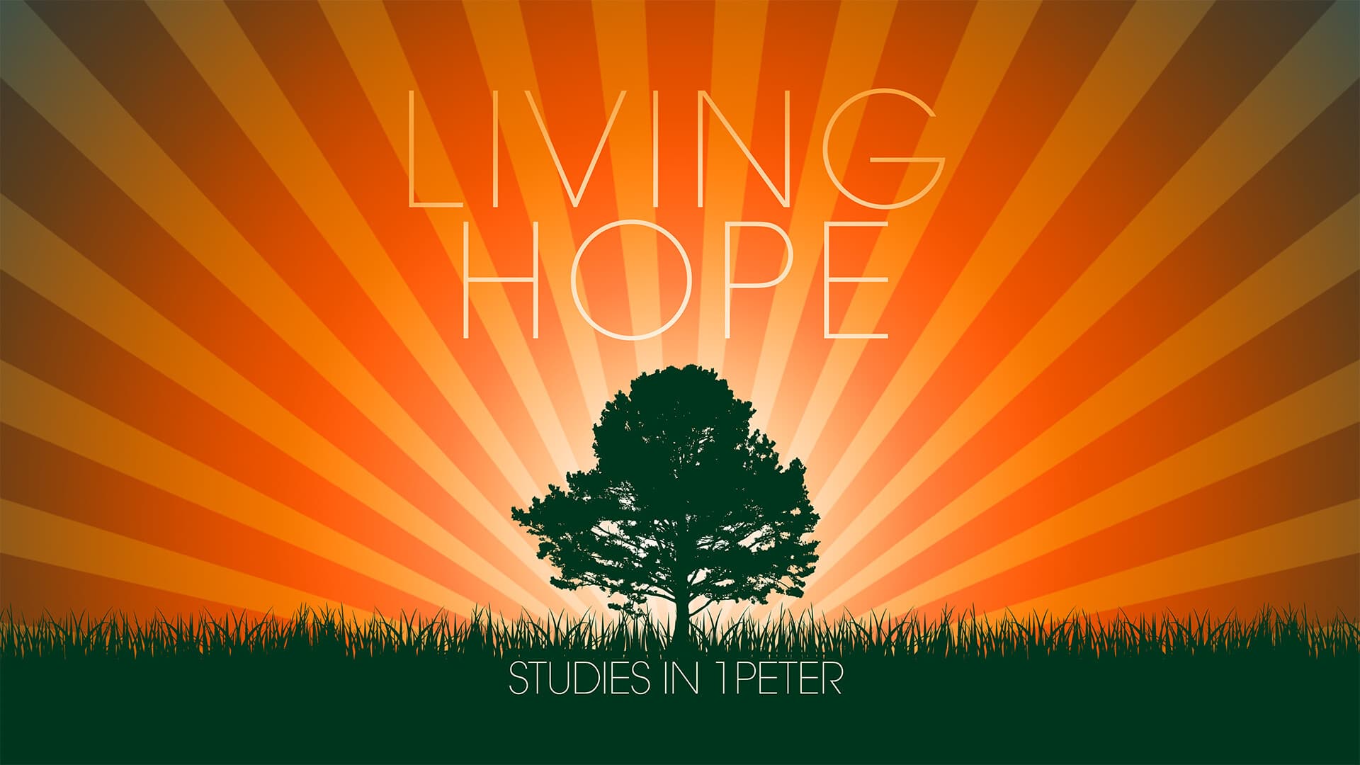 Leading with Integrity - Twin Lakes Church Sermons - Audio cover