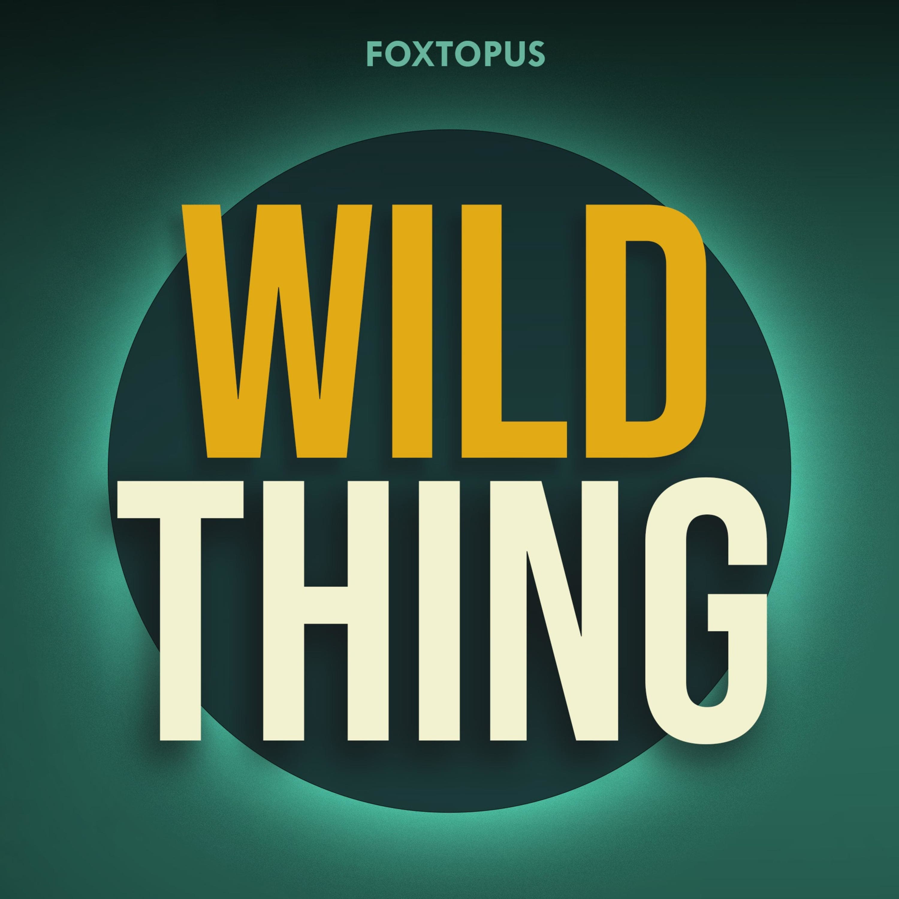 Wild Thing cover