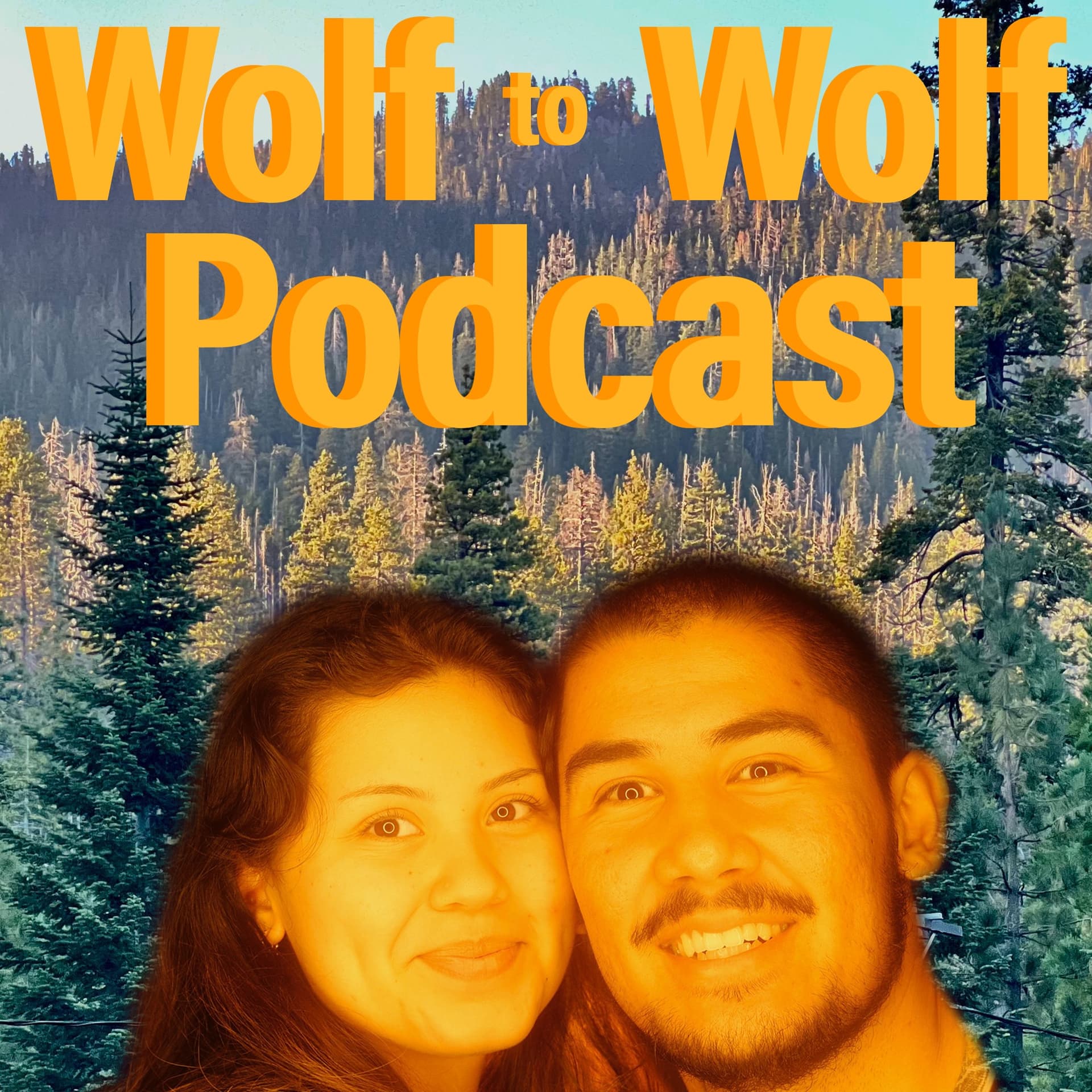 Wolf to Wolf Podcast cover