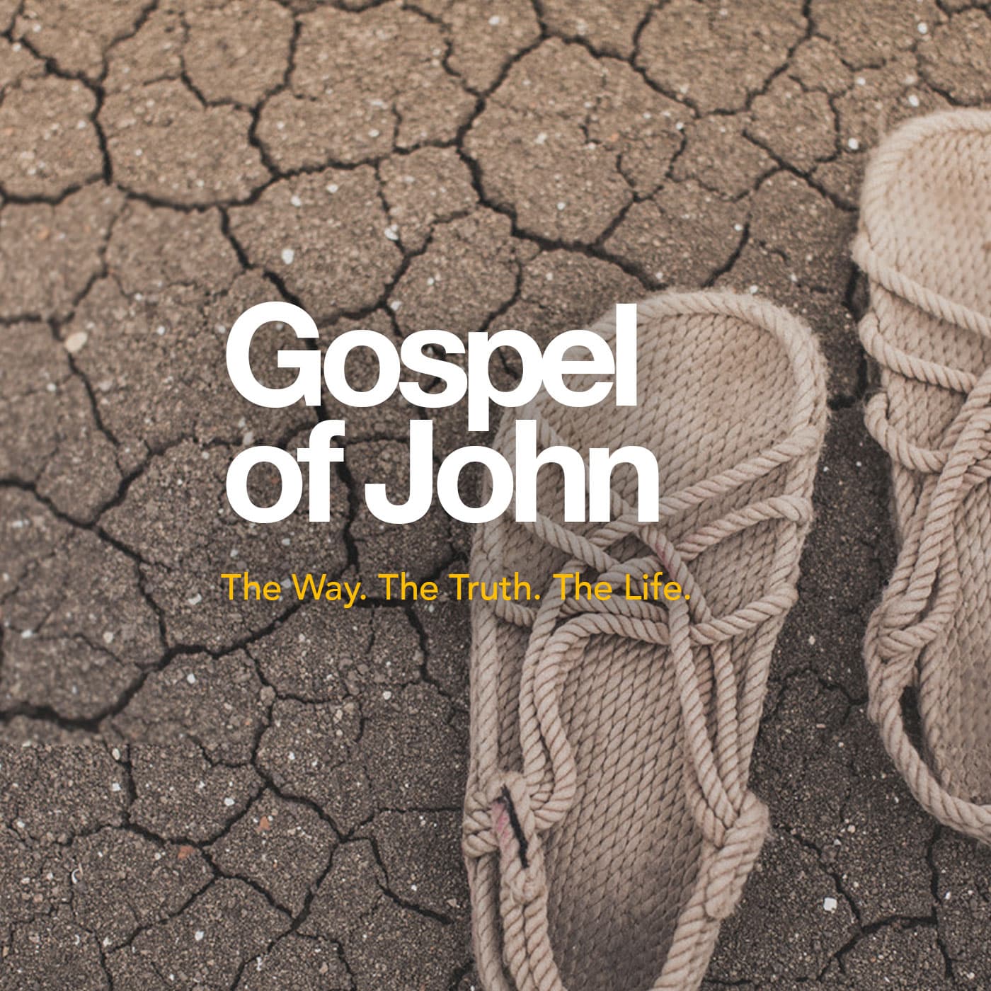 15 Chapter 15:1-17 - John cover