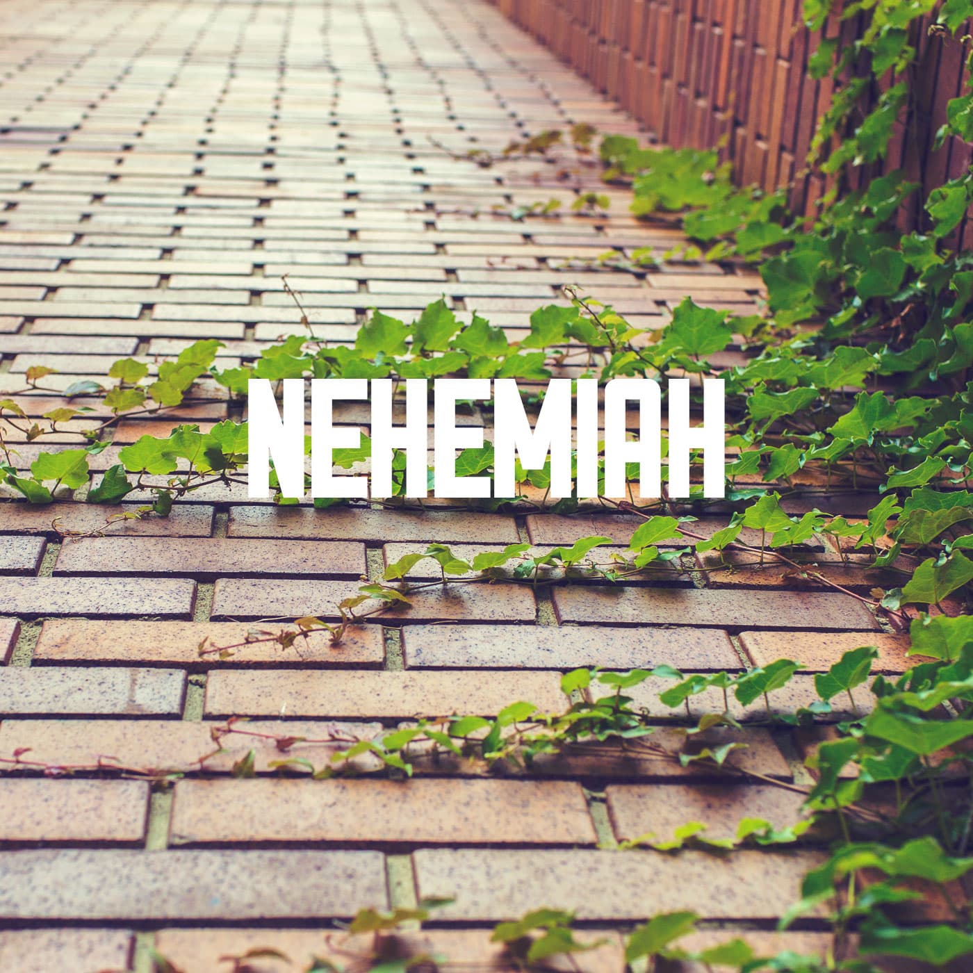 5 Chapters 4:7-23; 5:19 - Nehemiah cover