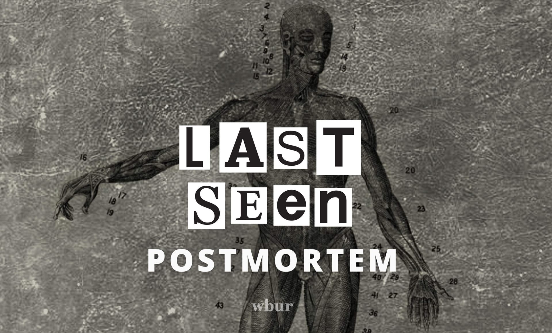 TRAILER: Last Seen S4 'Postmortem': The Stolen Bodies of Harvard - Last Seen cover