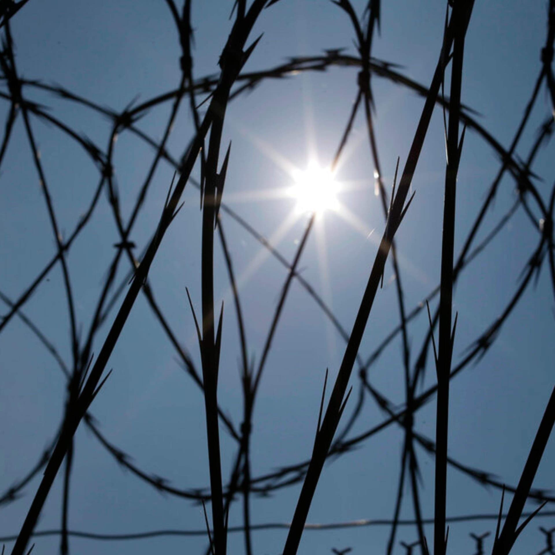 Why is the U.S. reluctant to adopt the Scandinavian prison model? - On Point with Meghna Chakrabarti cover