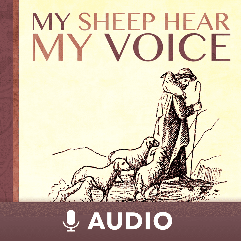 My Sheep Hear My Voice (Audio) cover