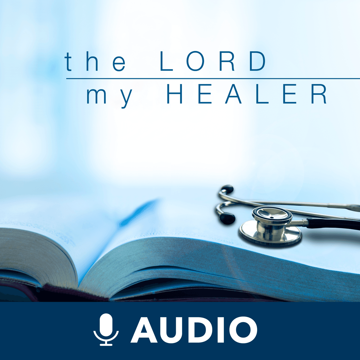 Pt. 8 - What Abraham Did - The Lord My Healer (Audio) cover