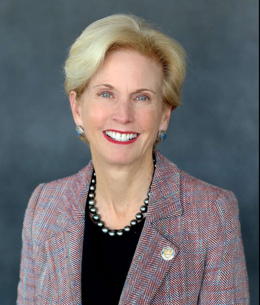 Candidate for for OC Supervisor for the 5th District, Diane Dixon - Conversations cover