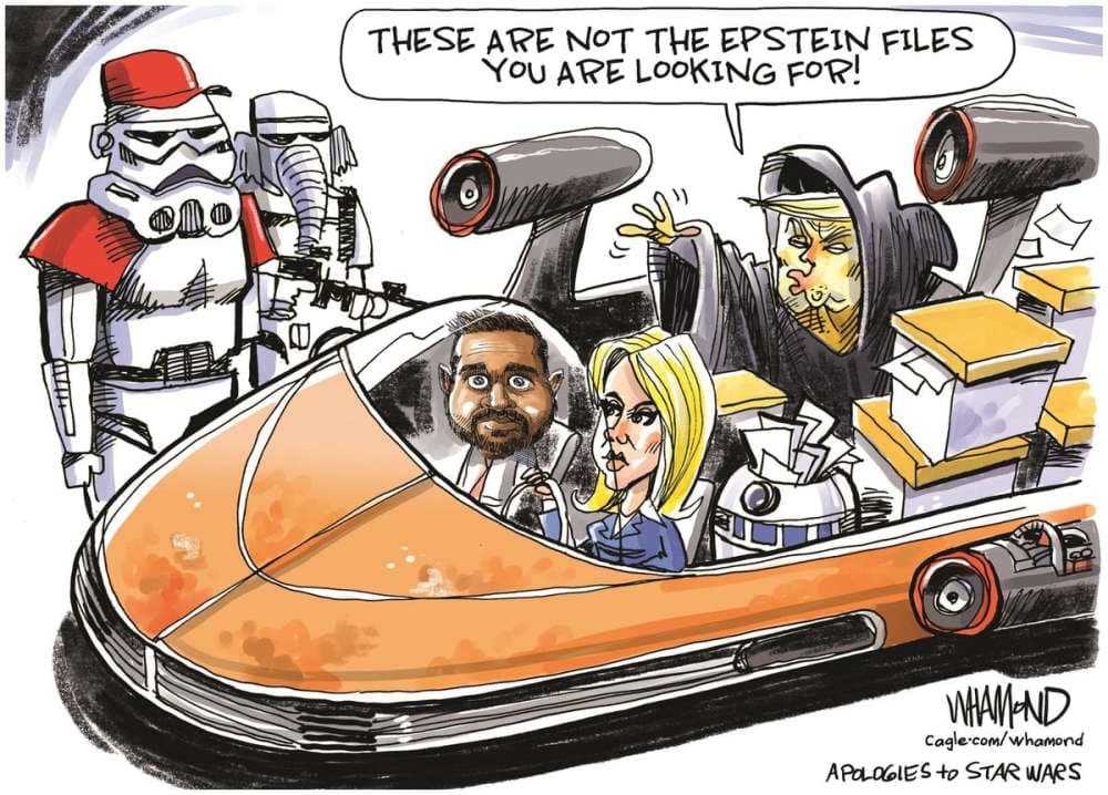 The Epstein Files - Observations cover