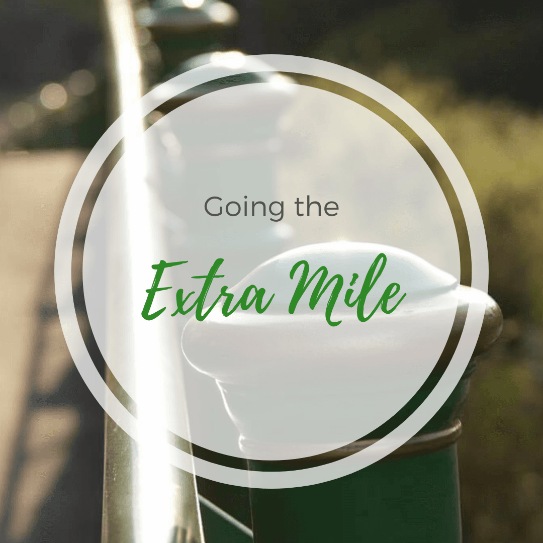 Going the Extra Mile: MVP - Newleaf Training and Development cover