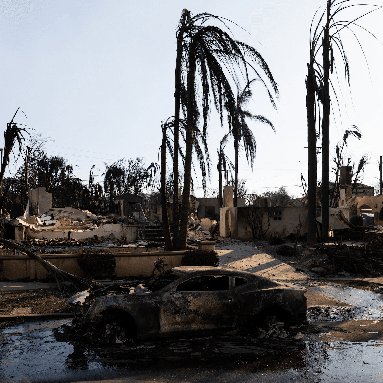 “Nothing there but the chimney.” L.A. evacuees return to rubble. - Apple News Today cover