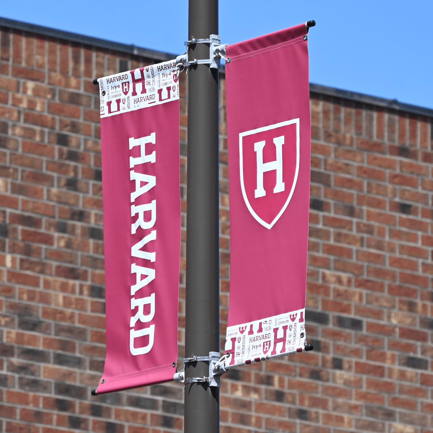 Explaining Trump’s latest move against Harvard - Apple News Today cover