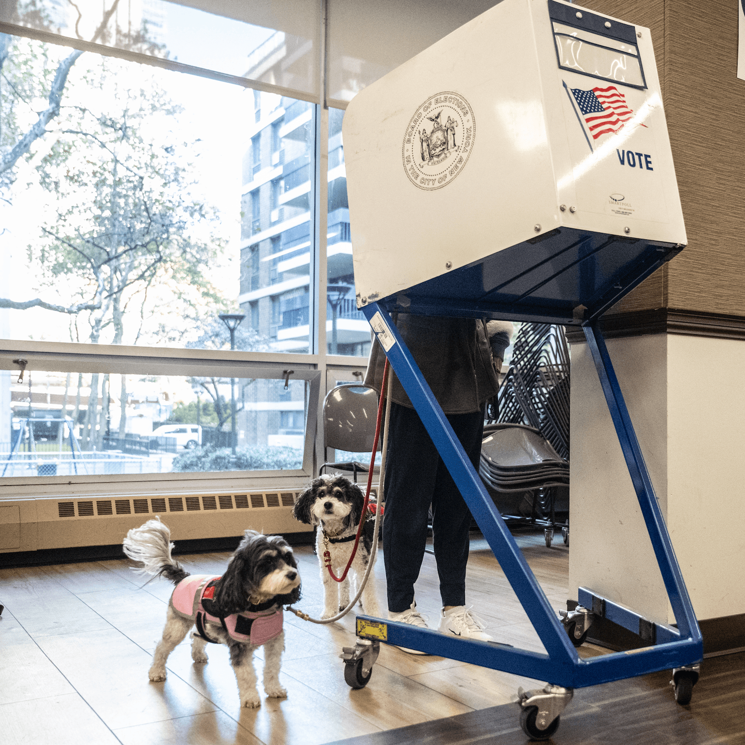 There are major elections this week. Here’s what to watch for. - Apple News Today cover