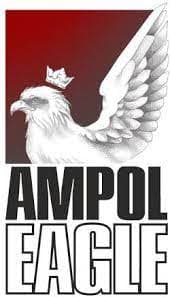 Am-Pol Eagle - Niagara Frontier Radio Reading Services Podcast cover