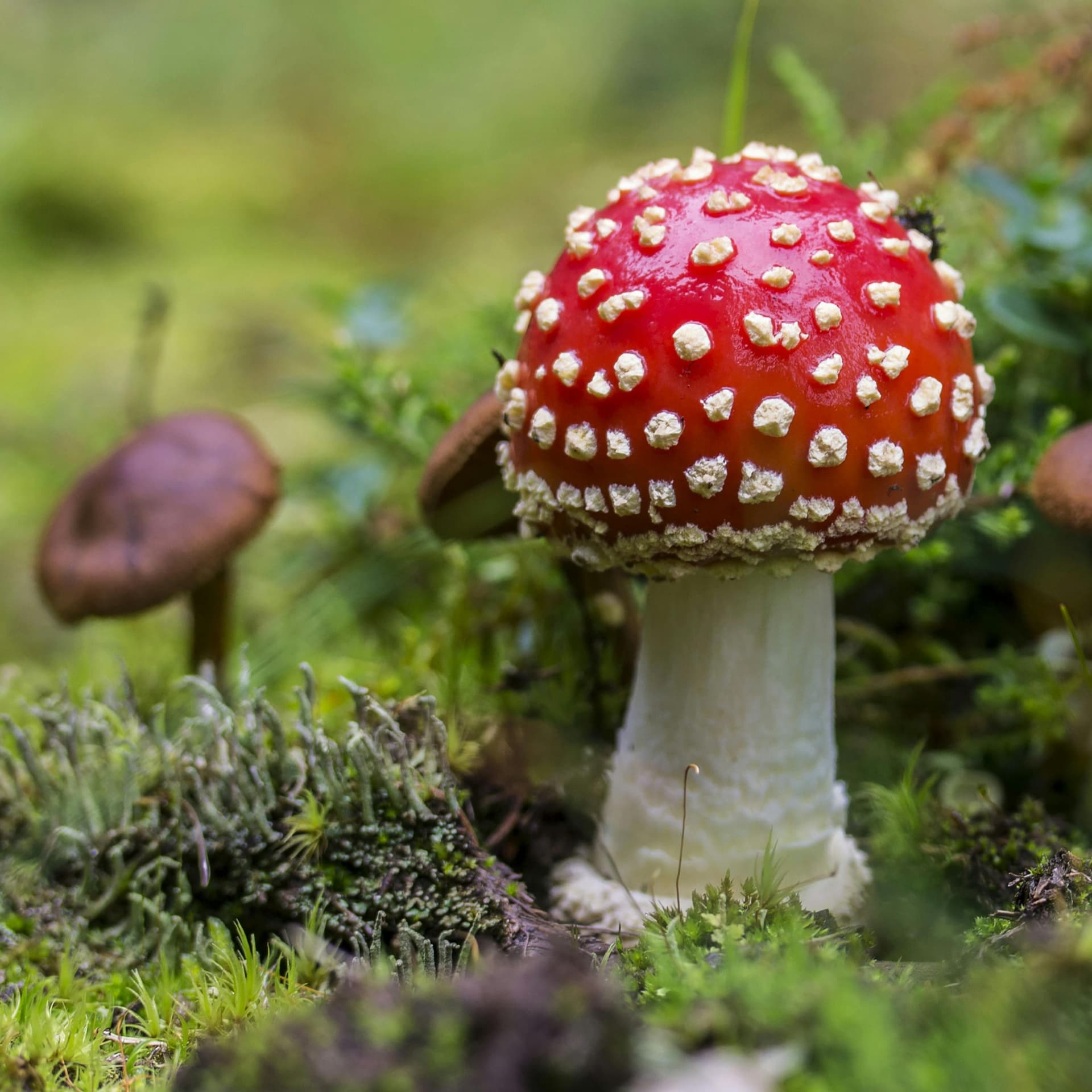 436: 100 Days Sober with Erin Dawson - Overtired cover