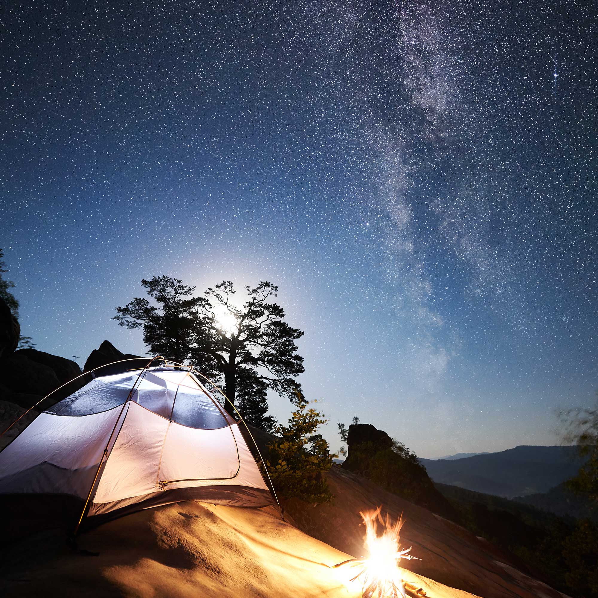 Wildlife photography conversations cover