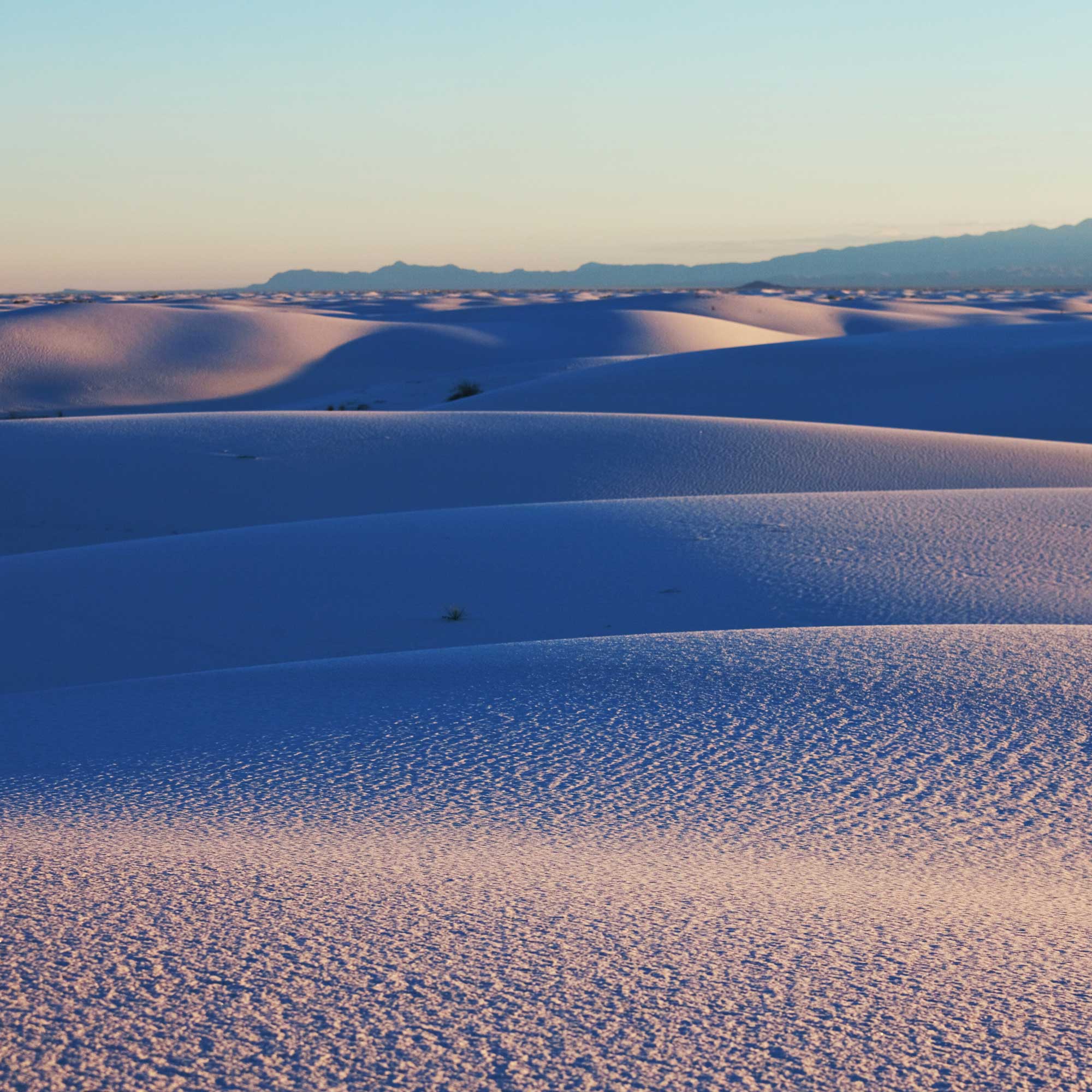 The Sahara’s Salt Trade: White Gold of the Desert cover