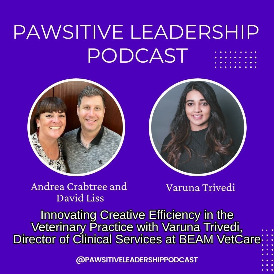 Supportive Mentorship in the Veterinary Practice with Dr. Dani Rabwin - PAWSitive Leadership Podcast cover