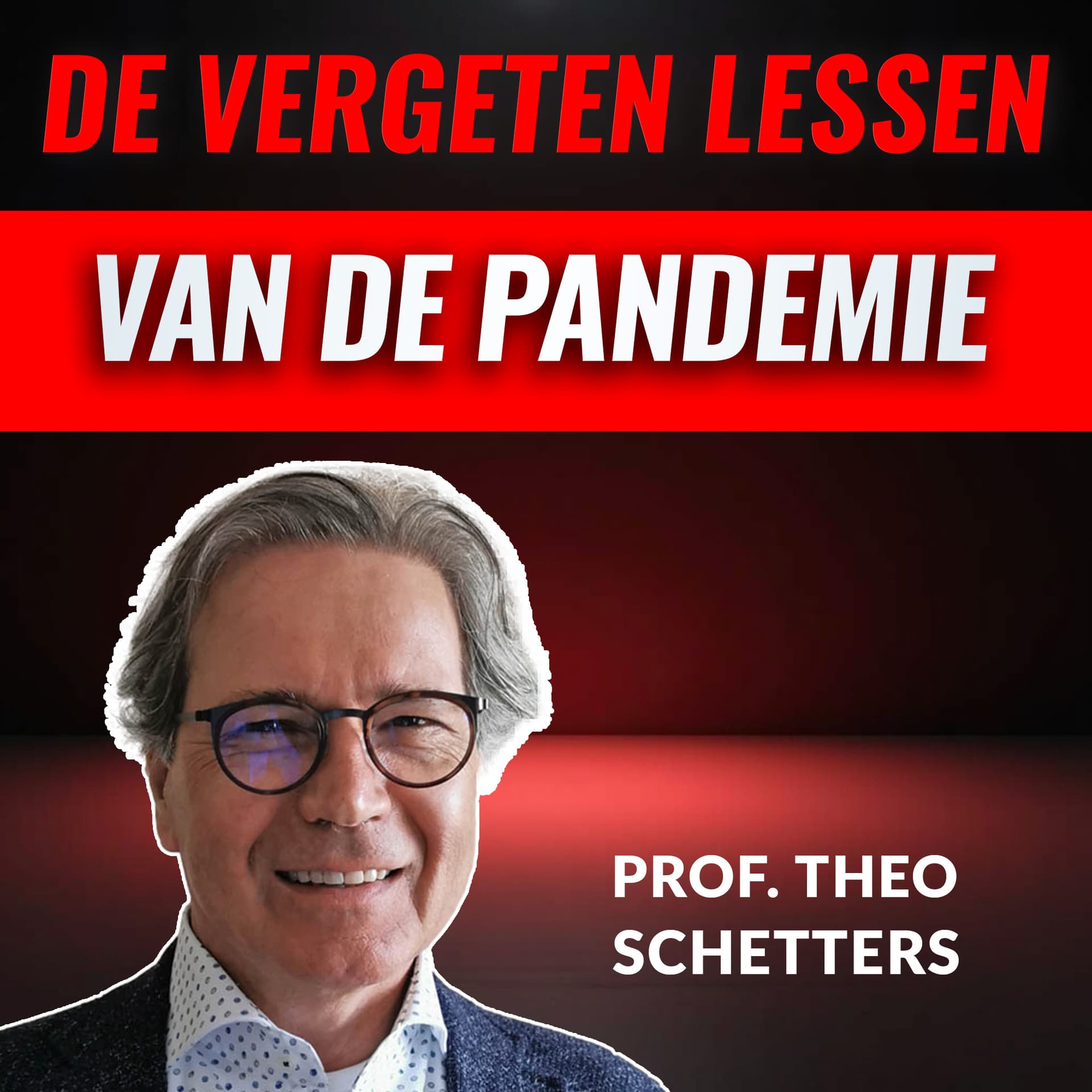 "De Instituties Faalden Gedurende De COVID Crisis" Met Prof. Theo Schetters (#76) - Hete Hangijzers cover