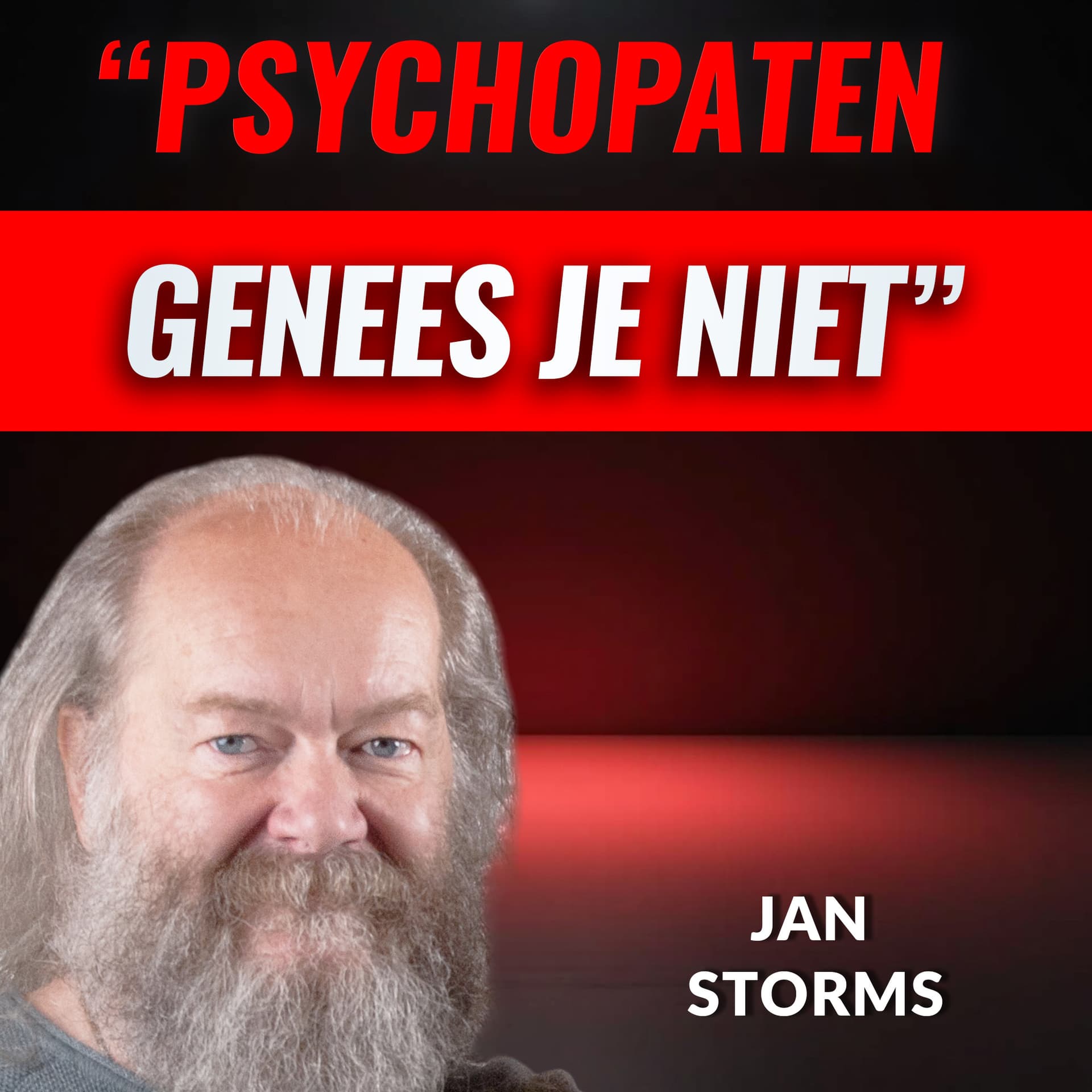 PSYCHOPATHIE Aan De Top: Wat Nu? Met Jan Storms (#128) - Hete Hangijzers cover