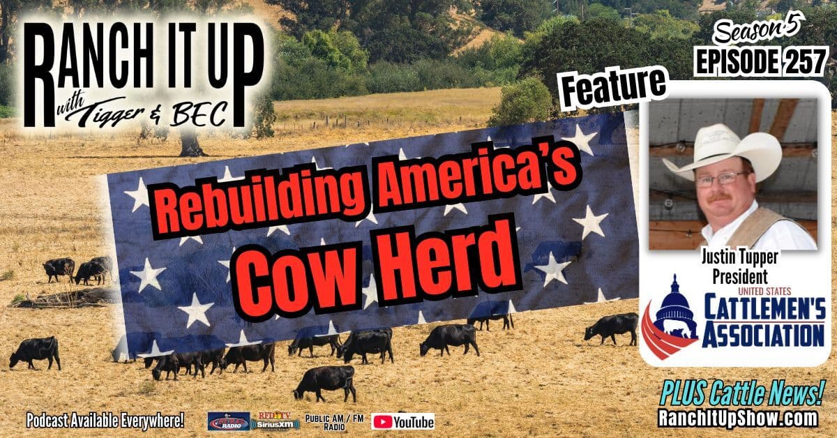 Rebuilding The U.S. Beef Cow Herd & Cattle Industry News - Ranch It Up Radio Show & Podcast cover