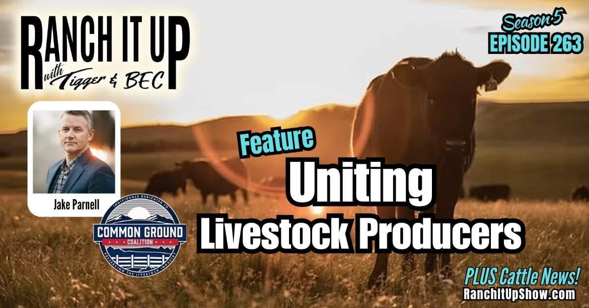 Common Ground Coalition:  Uniting Livestock Producers - Ranch It Up Radio Show & Podcast cover