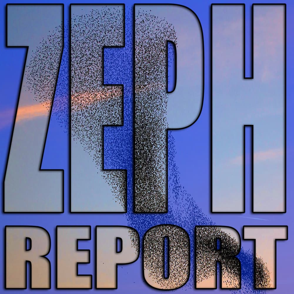 IS IT MONEY or..................? - The Zeph Report cover