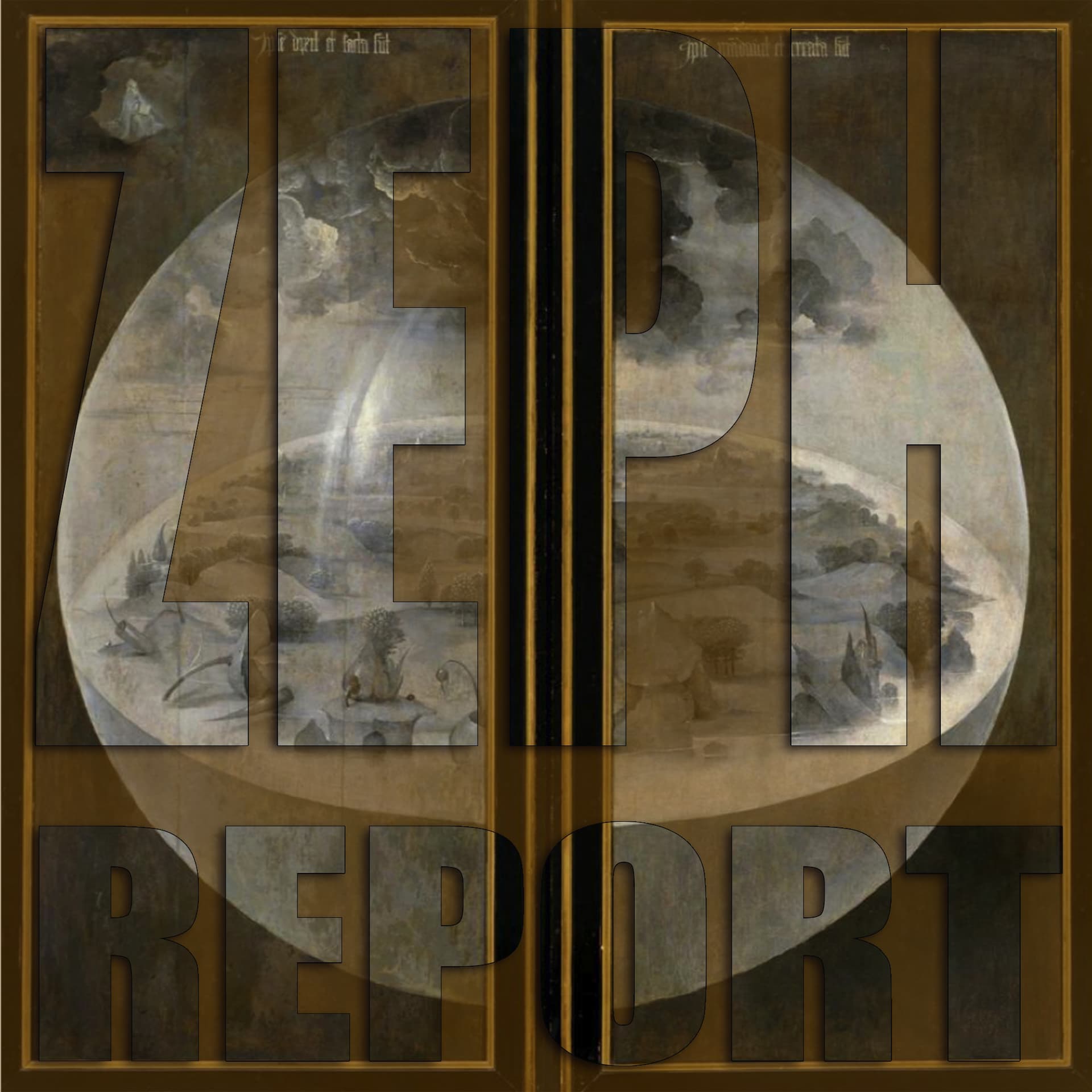 Expect it to be POLARIZED - The Zeph Report cover