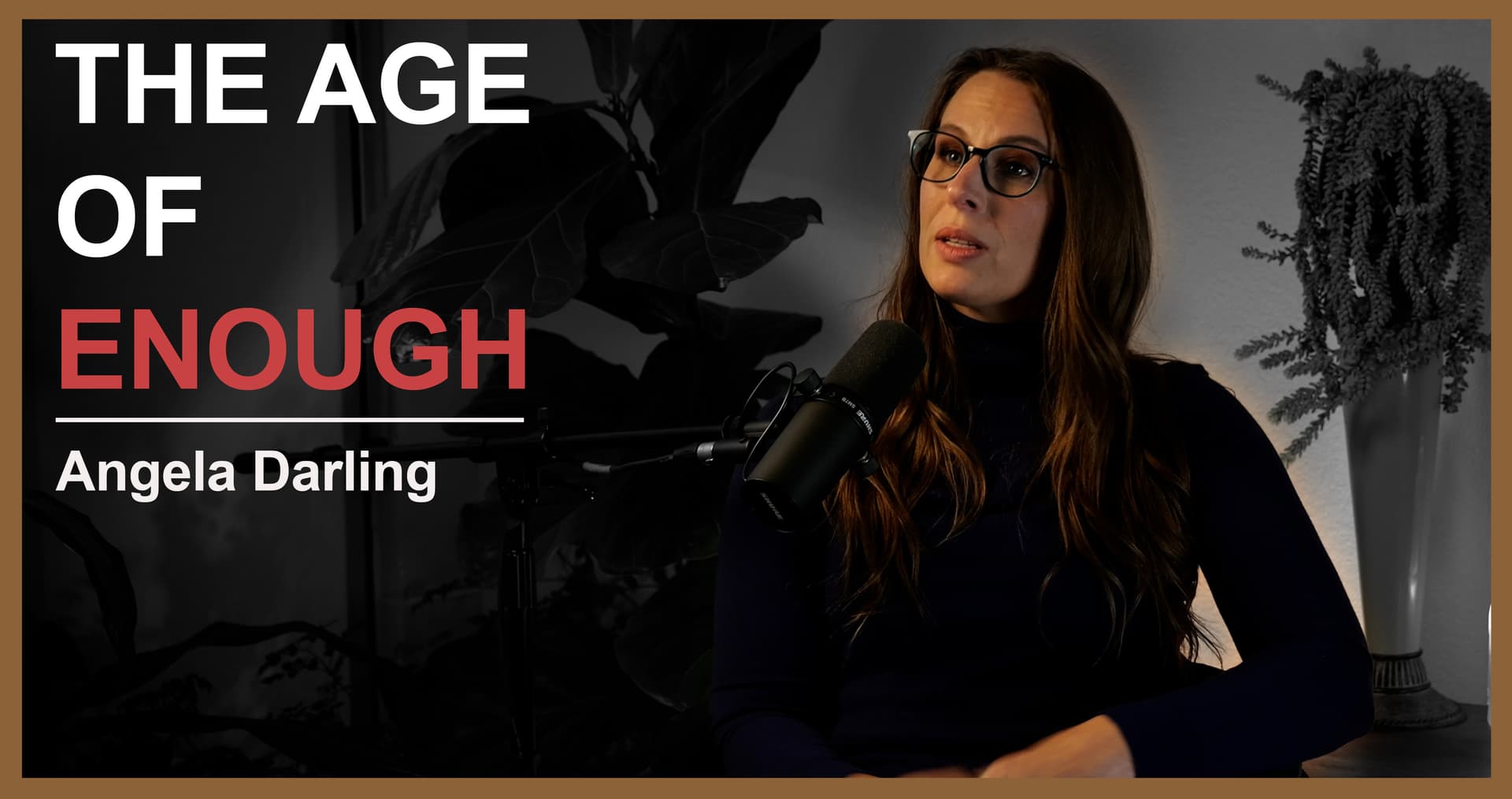 Angela Darling | The Age of Enough - The Vantage Point cover