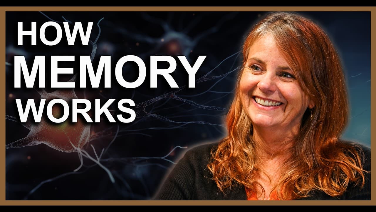 Dr. Lori James | The Science of Remembering... And Forgetting - The Vantage Point cover