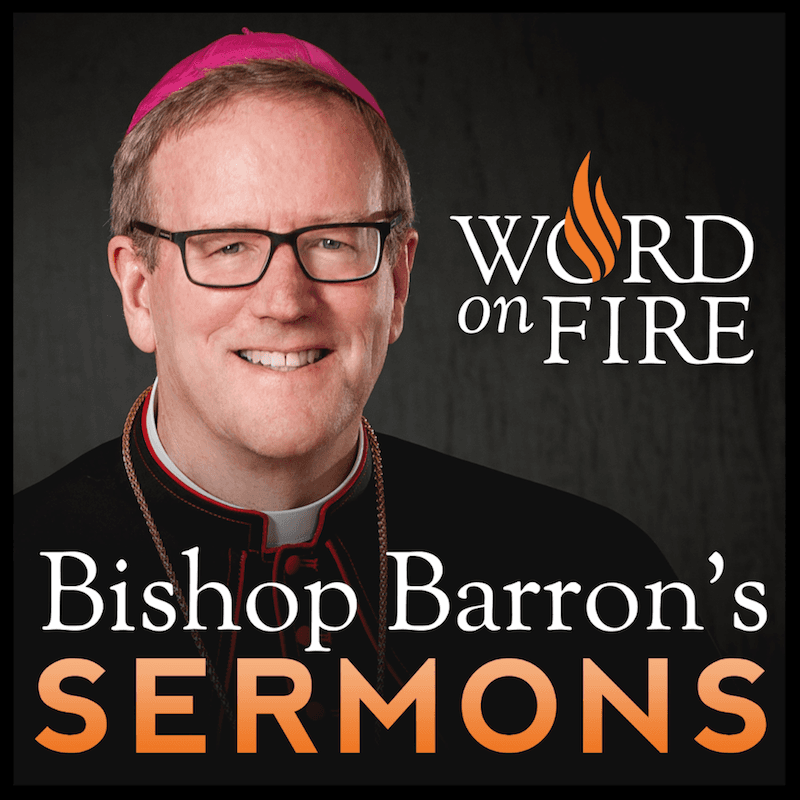 Why the Burning Bush is Such Good News — Bishop Barron’s Sunday Sermons - Catholic Preaching and Homilies cover