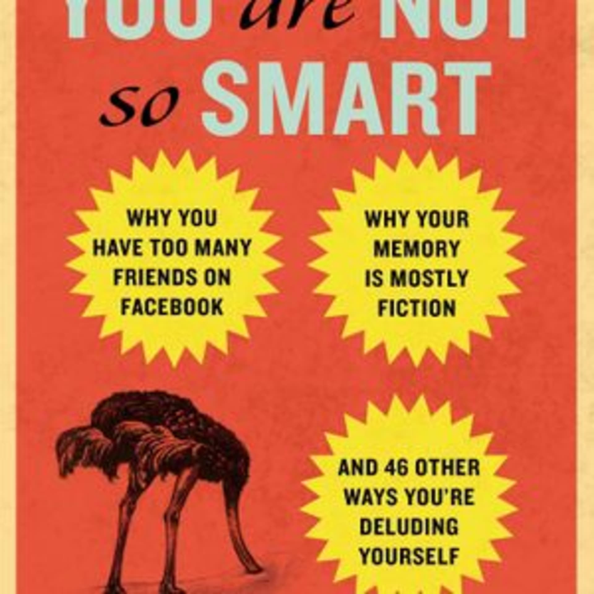 You Are Not So Smart by David McRaney - Bestbookbits cover