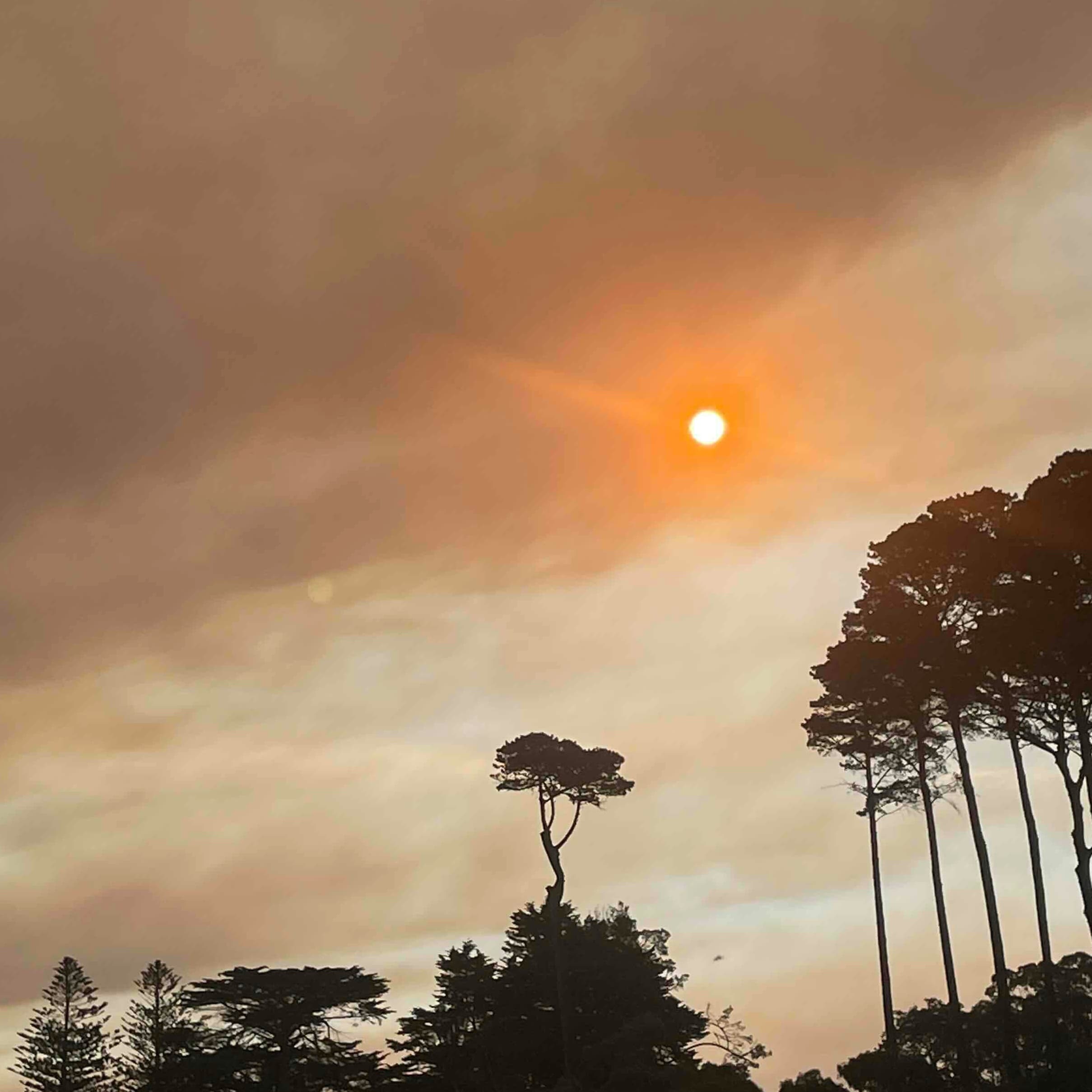 Black Magic - Sorting Life cover