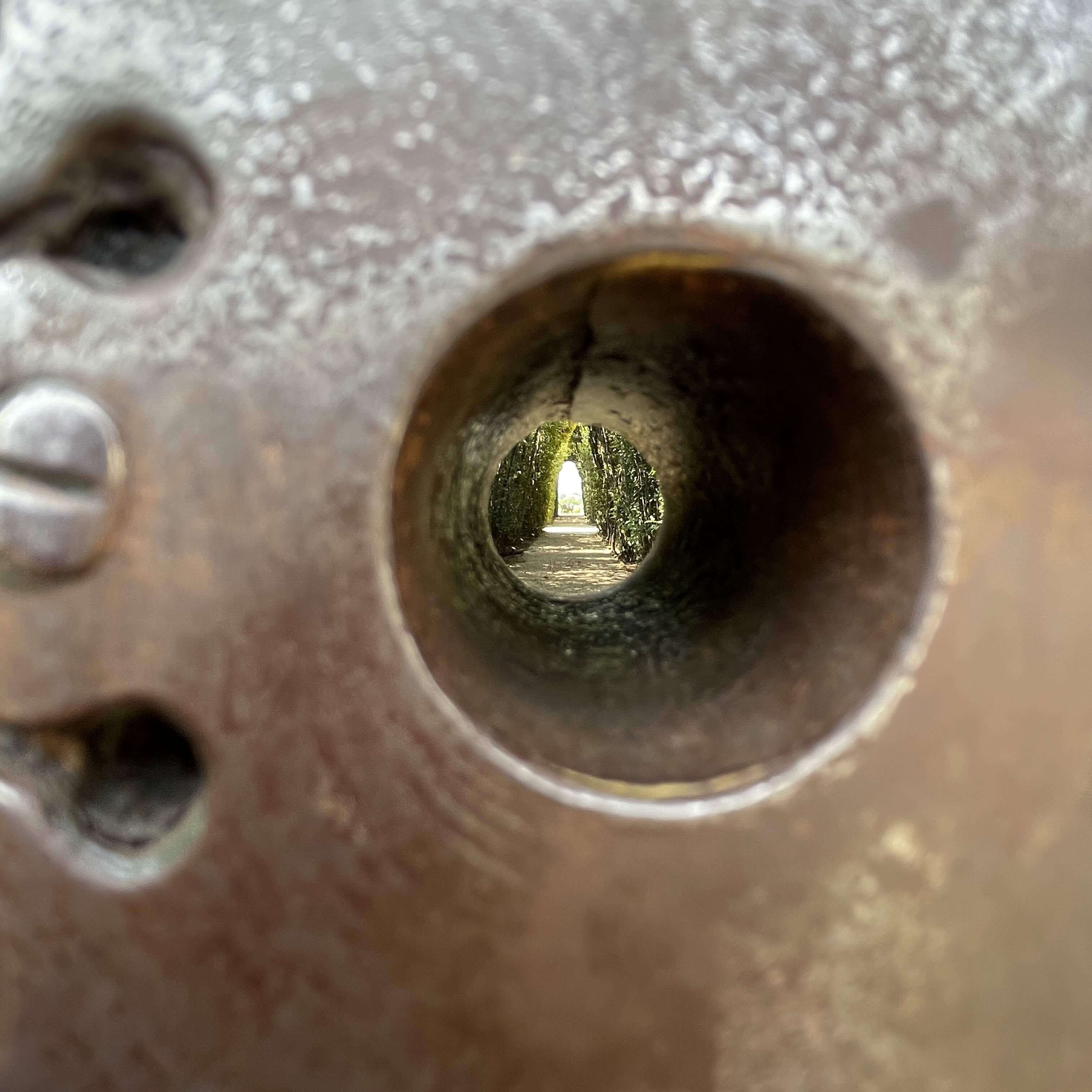 Lockouts - Sorting Life cover