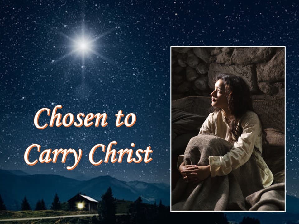 Chosen to Carry Christ - Rev. Paul J. Miller cover